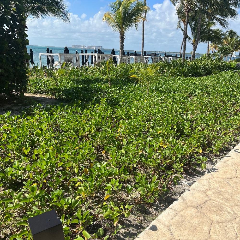 Meet your Posher, Sam